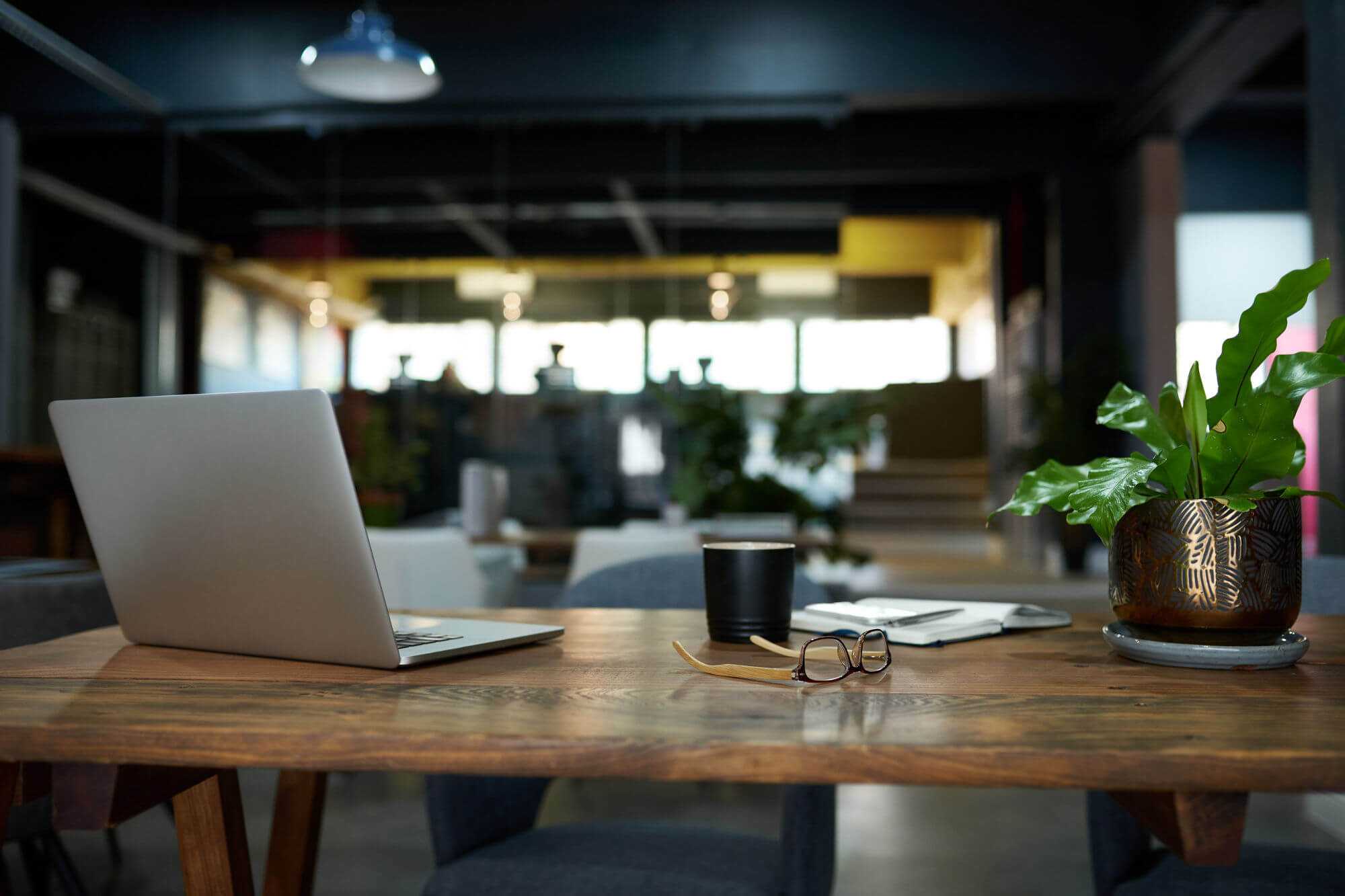 Cozy modern workspace with an open laptop, eyeglasses, coffee cup, and potted plant on a wooden table